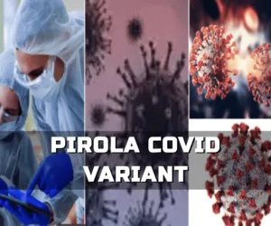 Pirola: A New Covid-19 Variant of Concern